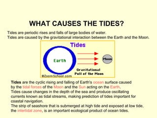 WHAT CAUSES THE TIDES? Tides are periodic rises and falls of large bodies of water.  Tides are caused by the gravitational interaction between the Earth and the Moon.  Tides  are the cyclic rising and falling of Earth's  ocean  surface caused by the  tidal forces  of the  Moon  and the  Sun  acting on the  Earth . Tides cause changes in the depth of the sea and produce oscillating  currents known as tidal streams, making prediction of tides important for coastal navigation. The strip of seashore that is submerged at high tide and exposed at low tide, the  intertidal  zone , is an important ecological product of ocean tides. 