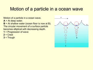 Motion of a particle in a ocean wave Motion of a particle in a ocean wave. A  = At deep water. B  = At shallow water (ocean floor is now at B).  The circular movement of a surface particle  becomes elliptical with decreasing depth. 1  = Progression of wave 2  = Crest 3  = Trough 