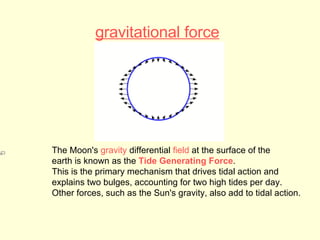gravitational force   The Moon's  gravity  differential  field  at the surface of the  earth is known as the  Tide Generating Force . This is the primary mechanism that drives tidal action and  explains two bulges, accounting for two high tides per day. Other forces, such as the Sun's gravity, also add to tidal action. 