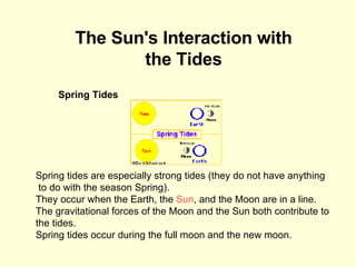 Spring Tides The Sun's Interaction with the Tides Spring tides are especially strong tides (they do not have anything to do with the season Spring).  They occur when the Earth, the  Sun , and the Moon are in a line.  The gravitational forces of the Moon and the Sun both contribute to the tides.  Spring tides occur during the full moon and the new moon. 