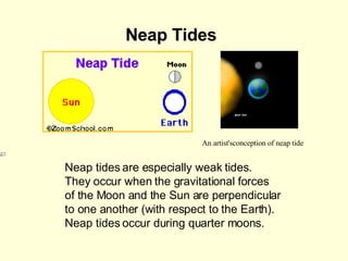 Neap Tides   Neap tides are especially weak tides. They occur when the gravitational forces of the Moon and the Sun are perpendicular  to one another (with respect to the Earth). Neap tides occur during quarter moons.   An artist'sconception of neap tide 