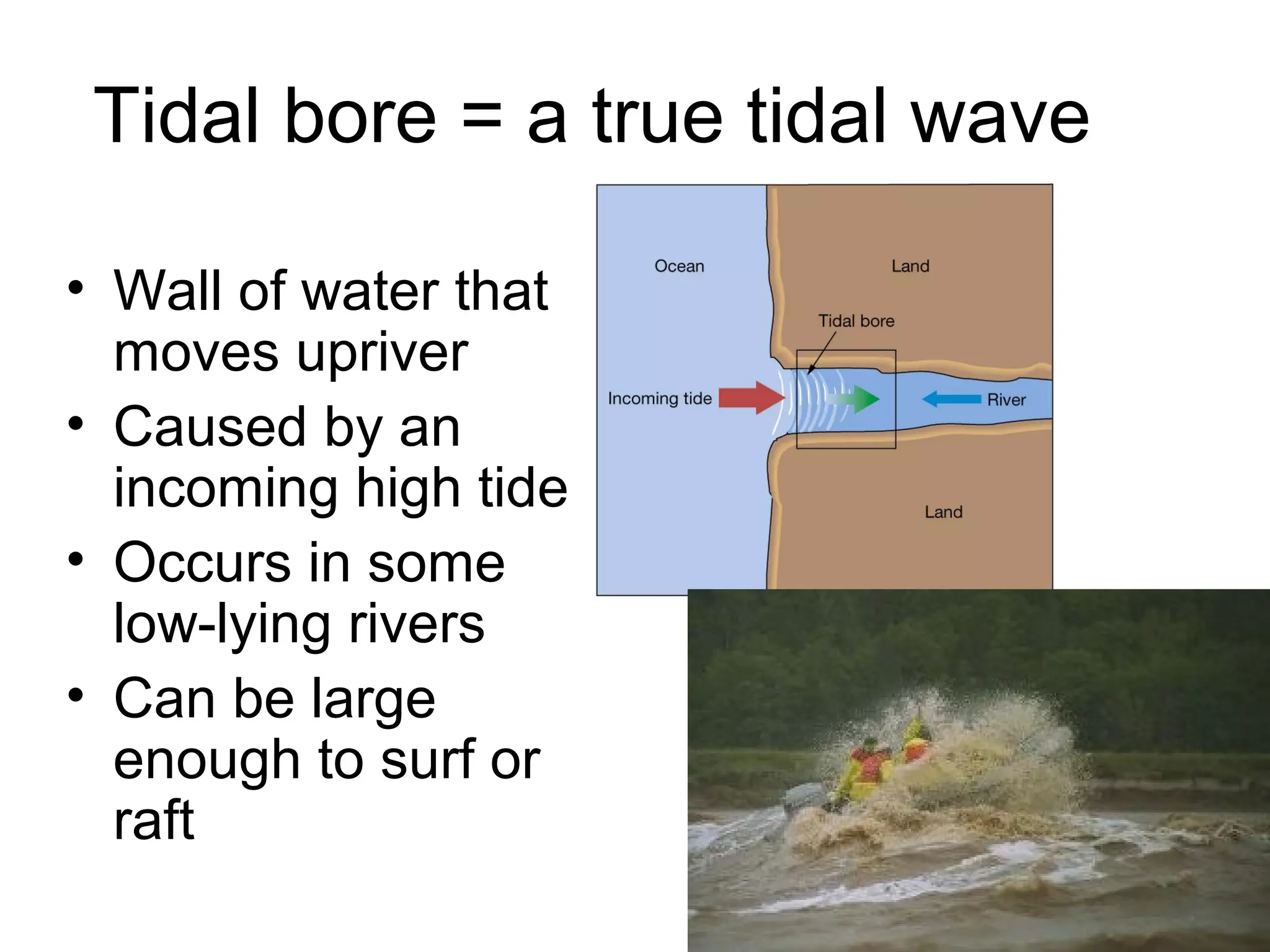 Tidal bore = a true tidal wave

• Wall of water that
  moves upriver
• Caused by an
  incoming high tide
• Occurs in some
  low-lying rivers
• Can be large
  enough to surf or
  raft
 