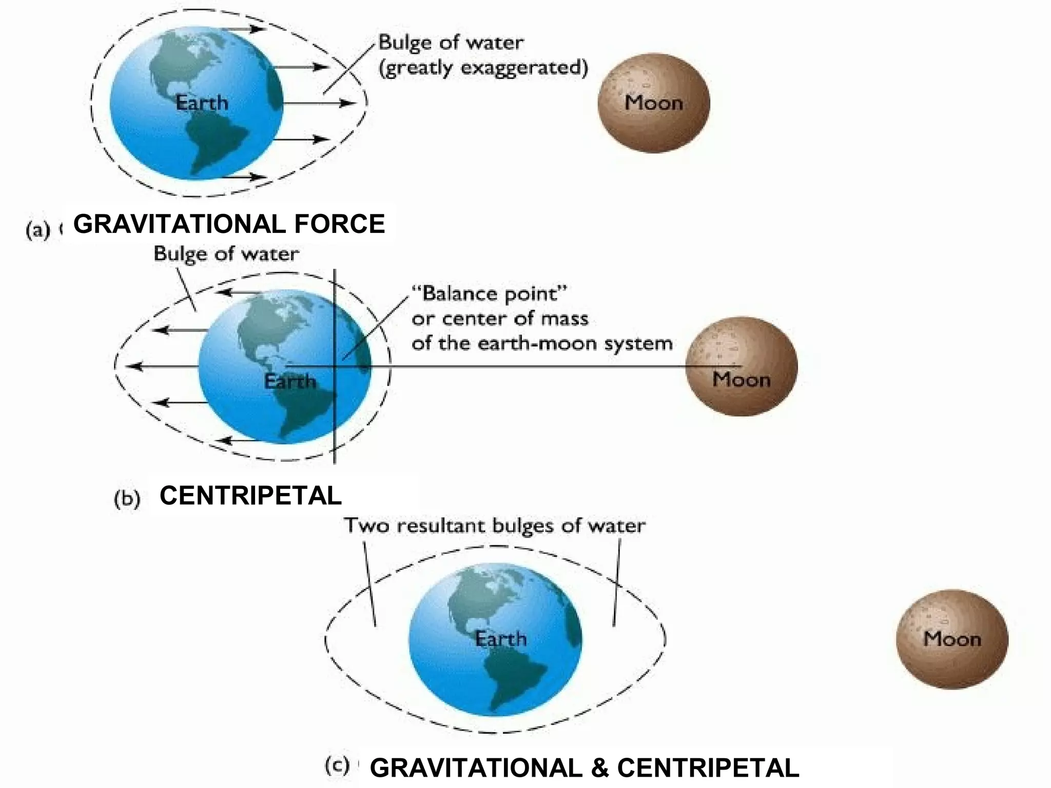 GRAVITATIONAL FORCE




     CENTRIPETAL




                   GRAVITATIONAL & CENTRIPETAL
 
