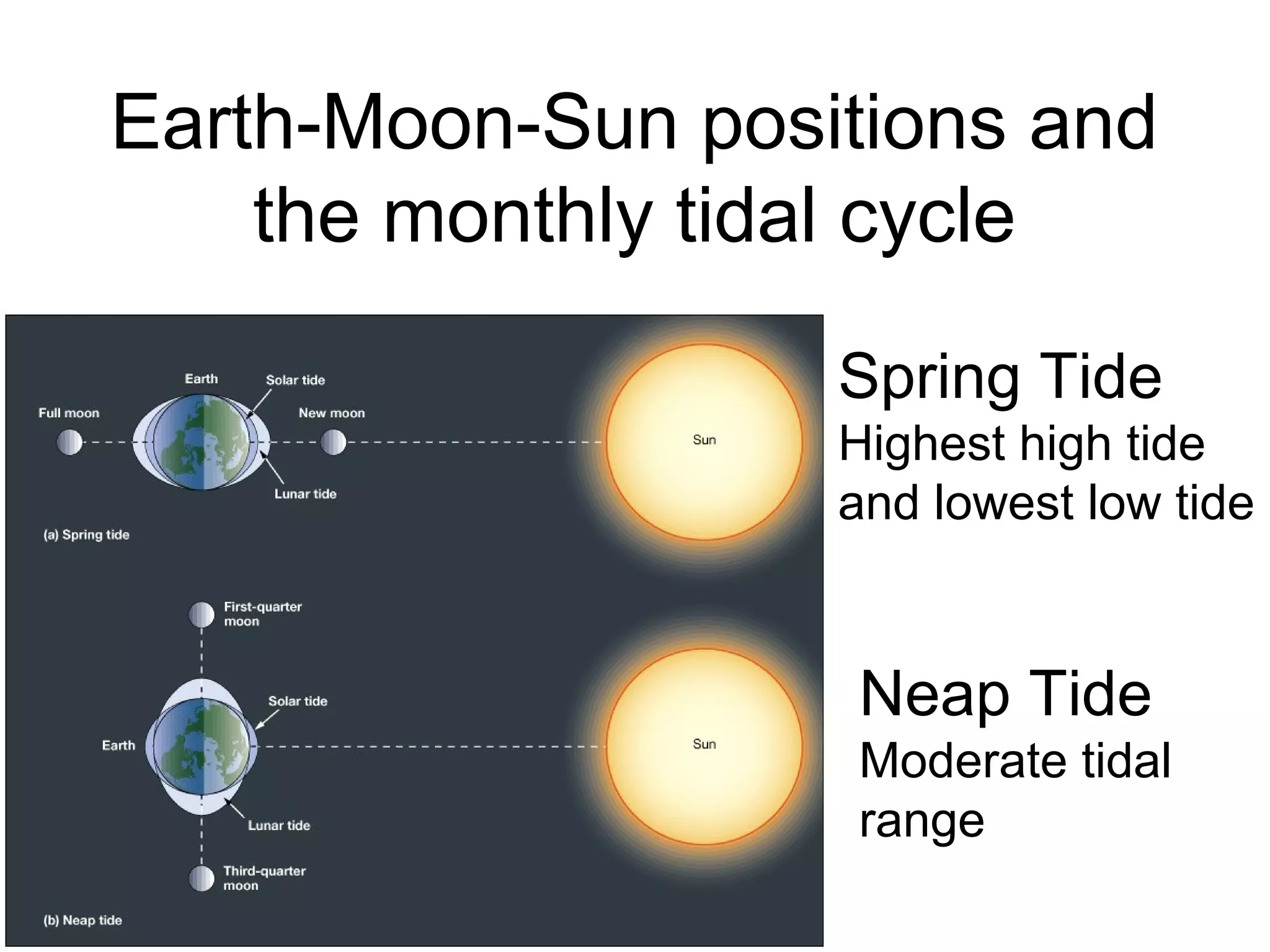 Earth-Moon-Sun positions and
    the monthly tidal cycle

                   Spring Tide
                   Highest high tide
                   and lowest low tide


                    Neap Tide
                    Moderate tidal
                    range
 