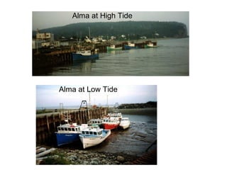 Alma at High Tide




Alma at Low Tide
 
