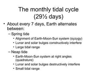 The monthly tidal cycle
             (29½ days)
• About every 7 days, Earth alternates
  between:
  – Spring tide
     • Alignment of Earth-Moon-Sun system (syzygy)
     • Lunar and solar bulges constructively interfere
     • Large tidal range
  – Neap tide
     • Earth-Moon-Sun system at right angles
       (quadrature)
     • Lunar and solar bulges destructively interfere
     • Small tidal range
 