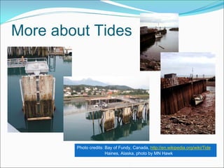More about Tides




        Photo credits: Bay of Fundy, Canada, http://en.wikipedia.org/wiki/Tide
                       Haines, Alaska, photo by MN Hawk
 