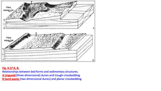 Fig. 4.17 A, B.
Relationships between bed forms and sedimentary structures.
A Linguoid (three-dimensional) dunes and trough crossbedding.
B Sand waves (two-dimensional dunes) and planar crossbedding.
 