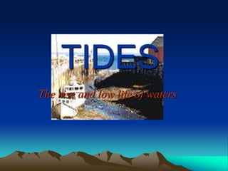 TIDES
The rise and low life of waters
 