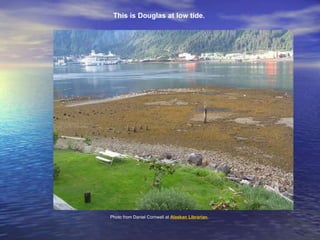 This is Douglas at low tide. 
Photo from Daniel Cornwall at Alaskan Librarian. 
 