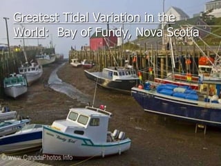 Greatest Tidal Variation in the 
World: Bay of Fundy, Nova Scotia 
 
