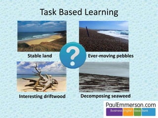 Dogme 
Stable land Ever-moving pebbles 
Interesting driftwood Decomposing seaweed 
 