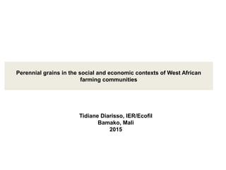 Perennial grains in the social and economic contexts of West African
farming communities
Tidiane Diarisso, IER/Ecofil
Bamako, Mali
2015
 