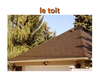 le toitle toit
 