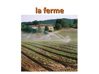 la fermela ferme
 