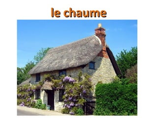 le chaumele chaume
 
