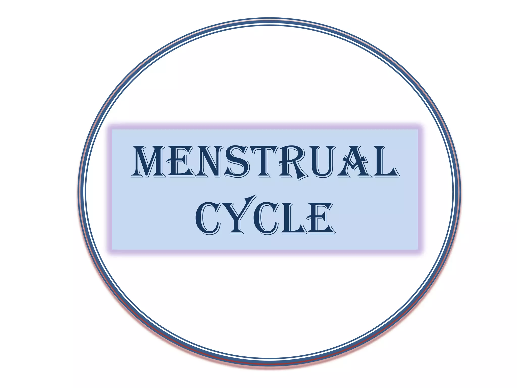 Menstrual
  cycle
 