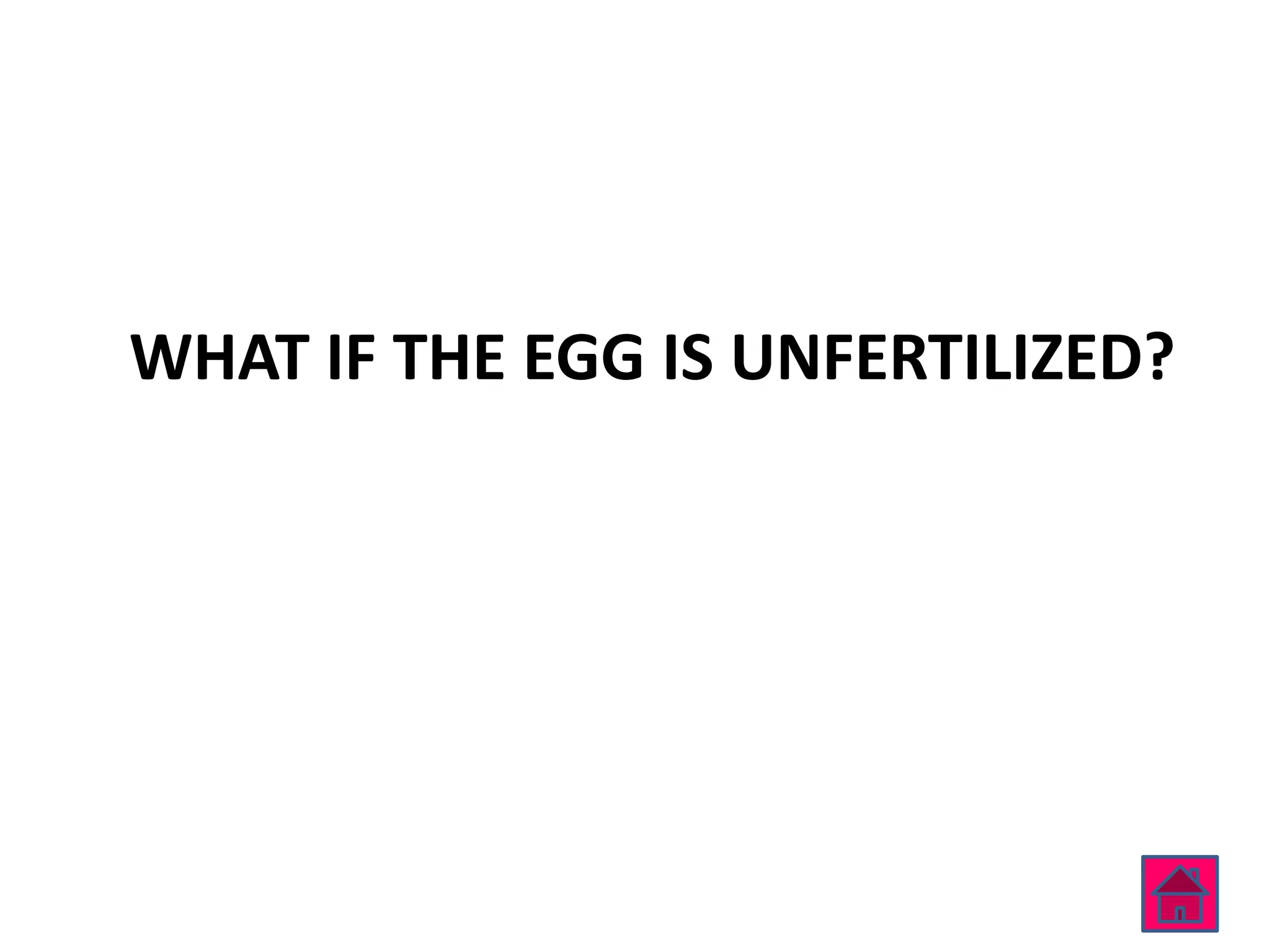 WHAT IF THE EGG IS UNFERTILIZED?
 