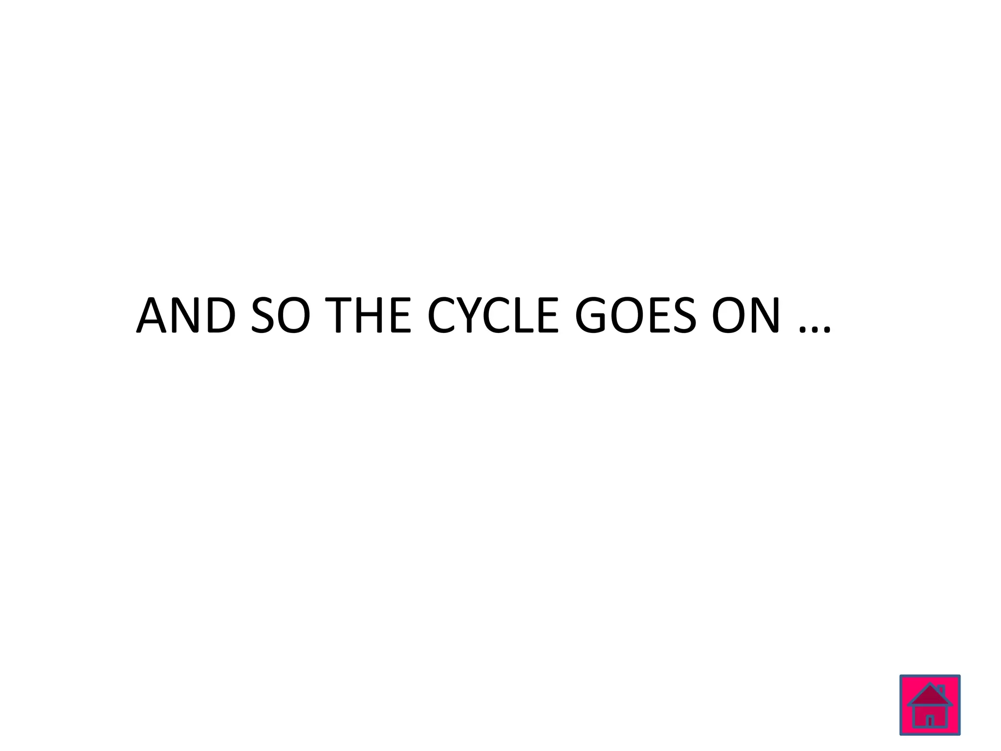 AND SO THE CYCLE GOES ON …
 