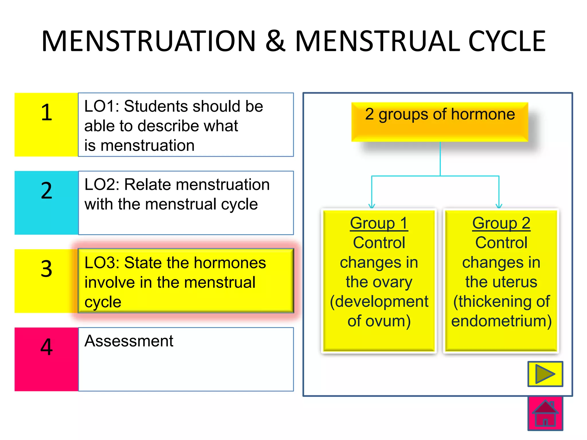 MENSTRUATION & MENSTRUAL CYCLE
    LO1: Students should be
1   able to describe what
                                   2 groups of hormone
    is menstruation

    LO2: Relate menstruation
2   with the menstrual cycle
                                   Group 1       Group 2
                                   Control        Control
    LO3: State the hormones      changes in     changes in
3   involve in the menstrual      the ovary     the uterus
    cycle                      (development   (thickening of
                                  of ovum)    endometrium)
    Assessment
4
 