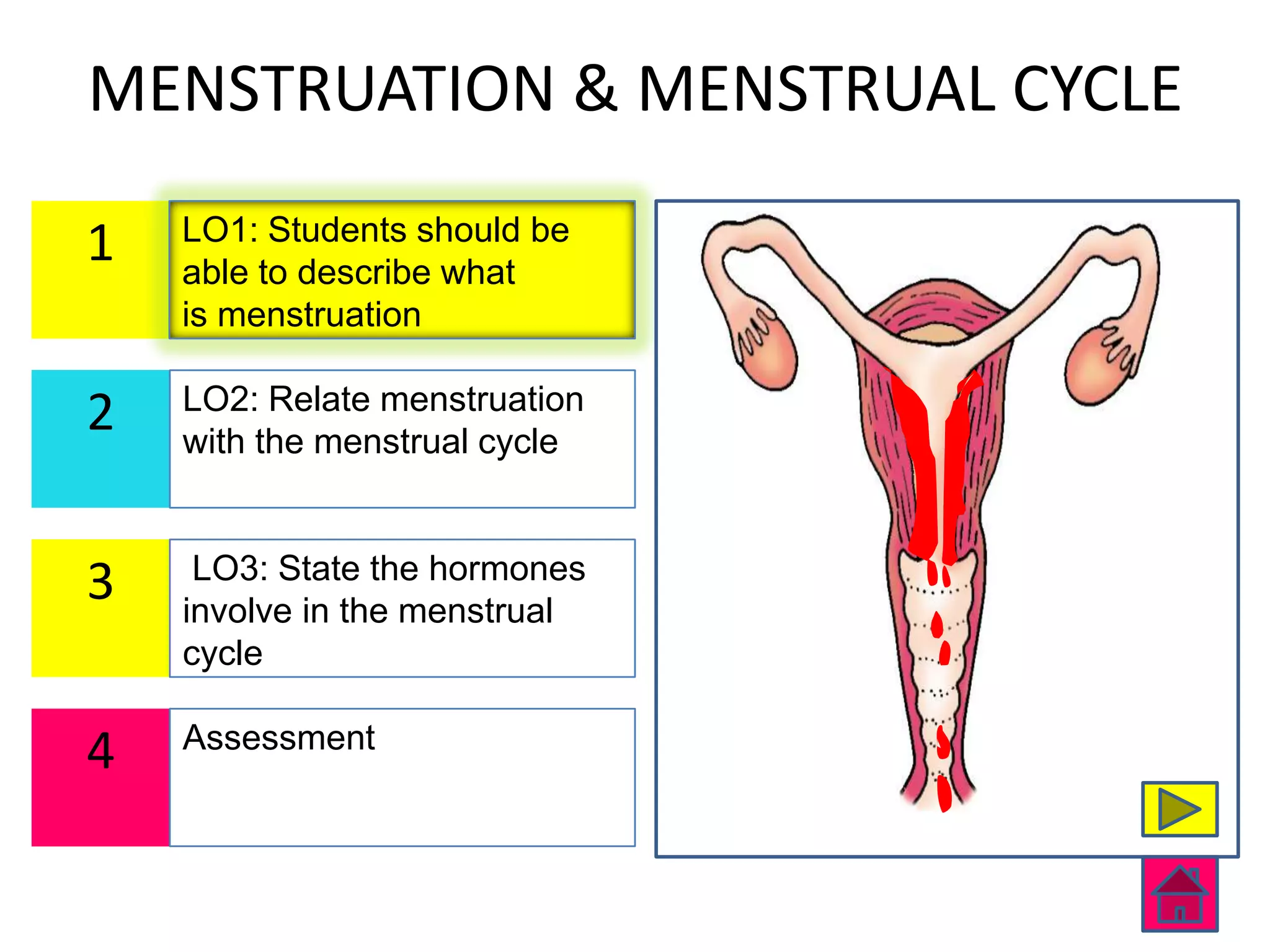 MENSTRUATION & MENSTRUAL CYCLE
    LO1: Students should be
1   able to describe what
    is menstruation

    LO2: Relate menstruation
2   with the menstrual cycle


     LO3: State the hormones
3   involve in the menstrual
    cycle

    Assessment
4
 