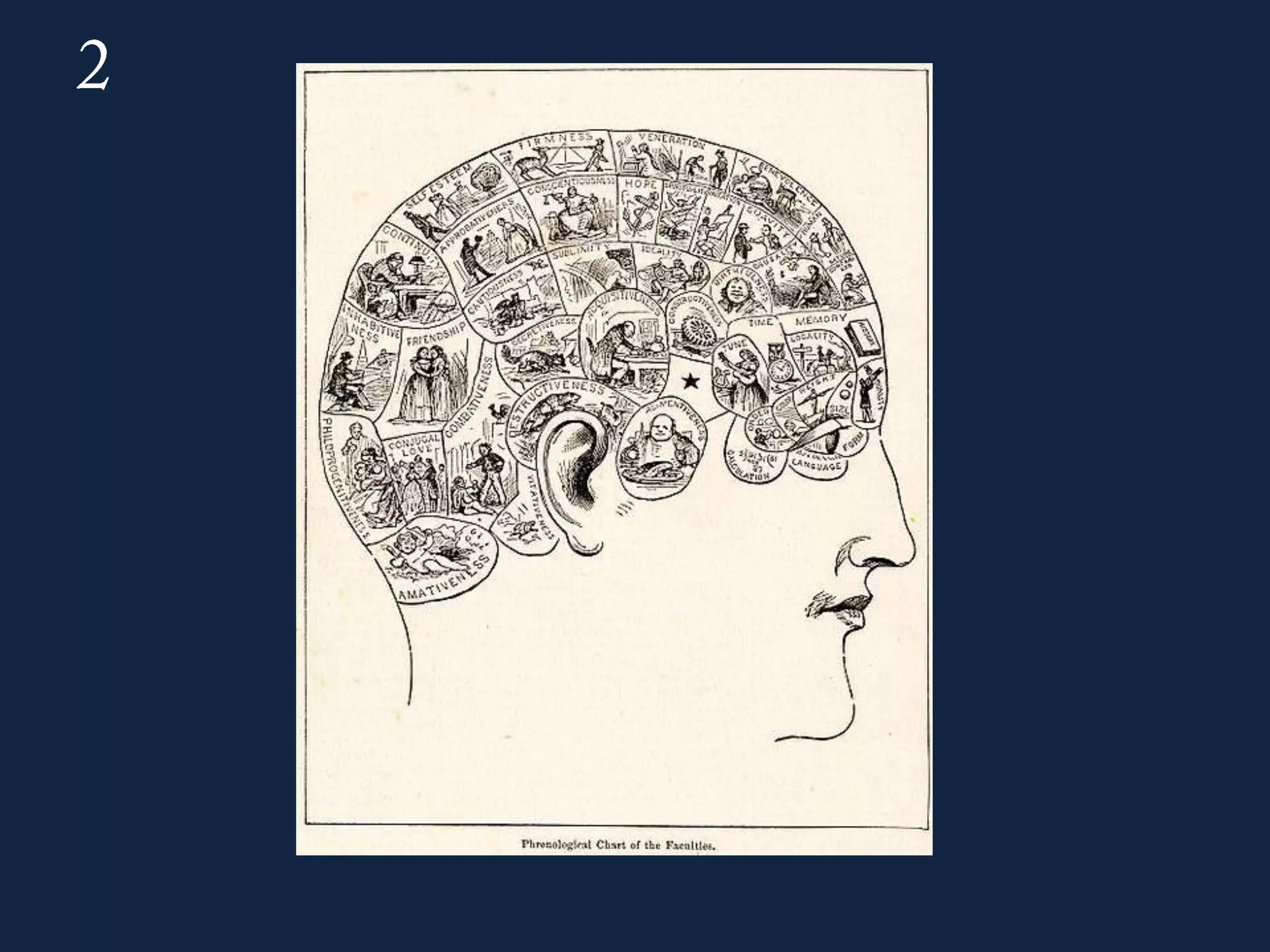 Brain of BITS 2013 - Tie breakers