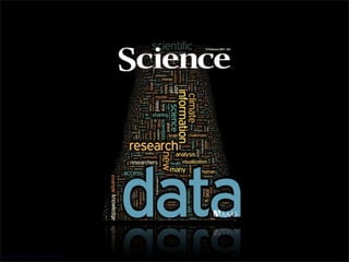 Image:Yael Fitzpatrick (AAAS)
 