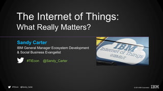 © 2014 IBM Corporation@Sandy_Carter#TiEcon
The Internet of Things:
What Really Matters?
Sandy Carter
IBM General Manager Ecosystem Development
& Social Business Evangelist
@Sandy_Carter#TiEcon
 