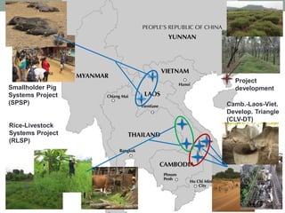 Tiemann  forages Asia overview 