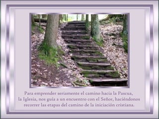 Para emprender seriamente el camino hacia la Pascua,  la Iglesia, nos guía a un encuentro con el Señor, haciéndonos recorrer las etapas del camino de la iniciación cristiana. 
