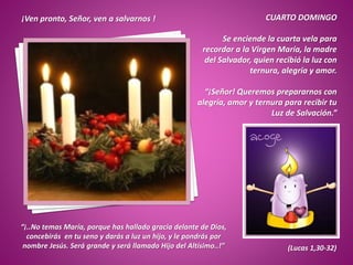 ¡Ven pronto, Señor, ven a salvarnos ! CUARTO DOMINGO
Se enciende la cuarta vela para
recordar a la Virgen María, la madre
del Salvador, quien recibió la luz con
ternura, alegría y amor.
“¡Señor! Queremos prepararnos con
alegría, amor y ternura para recibir tu
Luz de Salvación.”
“¡..No temas María, porque has hallado gracia delante de Dios,
concebirás en tu seno y darás a luz un hijo, y le pondrás por
nombre Jesús. Será grande y será llamado Hijo del Altísimo..!” (Lucas 1,30-32)
 