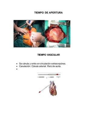 TIEMPO DE APERTURA
TIEMPO VASCULAR
 Se cánula y entra en circulación extracorpórea.
 Canulación: Cánula arterial: Raíz de aorta.

 