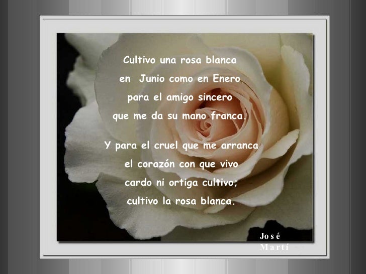 Cultivo Una Rosa Blanca Amado Nervo