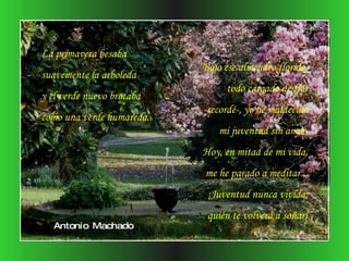 La primavera besaba suavemente la arboleda y el verde nuevo brotaba como una verde humareda. Bajo ese almendro florido, todo cargado de flor -recordé-, yo he maldecido mi juventud sin amor. Hoy, en mitad de mi vida, me he parado a meditar... ¡Juventud nunca vivida, quién te volverá a soñar! Antonio Machado 