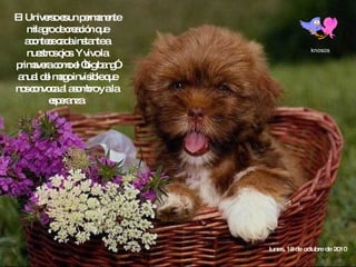 knosos El Universo es un permanente milagro de creación que acontece cada instante a nuestros ojos. Y vivo la primavera como el “big bang” anual del mago invisible que nos convoca al asombro y a la esperanza. lunes, 18 de octubre de 2010 