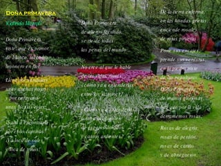 Doña primavera Doña Primavera viste, que es primor, de blanco, tal como limonero en flor. Lleva por sandalias unas anchas hojas y por caravana unas fucsias rojas. No cree al que le hable  de las vidas ruines, ¿cómo va a entenderlas entre los jazmines? ¿Cómo va a entenderlas junto a las fuentes de espejos dorados y cantos ardientes? (Gabriela Mistral) ¡Salid a encontrarla por esos caminos! ¡Va loca de soles y loca de trinos! Doña Primavera, de aliento fecundo, se ríe de todas las penas del mundo... De la tierra enferma, en las hondas grietas, enciende rosales de rojas piruetas. Pone sus encajes, prende sus verduras, en la piedra triste de las sepulturas... Doña Primavera, de manos gloriosas, haz que por la vida derramemos rosas: Rosas de alegría, rosas de perdón, rosas de cariño y de abnegación. 