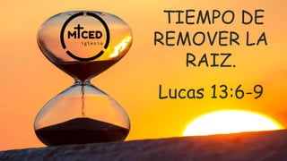 TIEMPO DE
REMOVER LA
RAIZ.
Lucas 13:6-9
 