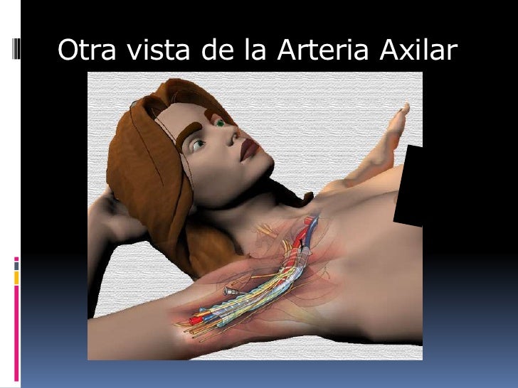 Evlk el tratamiento láser varikoza los precios