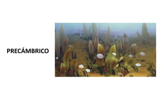 PRECÁMBRICO
 