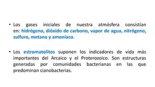• Los gases iniciales de nuestra atmósfera consistían
en: hidrógeno, dióxido de carbono, vapor de agua, nitrógeno,
sulfuro, metano y amoníaco.
• Los estromatolitos suponen los indicadores de vida más
importantes del Arcaico y el Proterozoico. Son estructuras
generadas por comunidades bacterianas en las que
predominan cianobacterias.
 