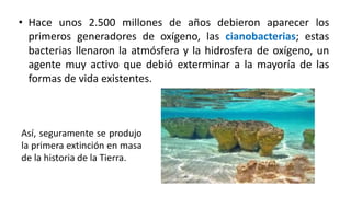• Hace unos 2.500 millones de años debieron aparecer los
primeros generadores de oxígeno, las cianobacterias; estas
bacterias llenaron la atmósfera y la hidrosfera de oxígeno, un
agente muy activo que debió exterminar a la mayoría de las
formas de vida existentes.
Así, seguramente se produjo
la primera extinción en masa
de la historia de la Tierra.
 