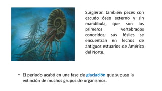 • El periodo acabó en una fase de glaciación que supuso la
extinción de muchos grupos de organismos.
Surgieron también peces con
escudo óseo externo y sin
mandíbula, que son los
primeros vertebrados
conocidos; sus fósiles se
encuentran en lechos de
antiguos estuarios de América
del Norte.
 