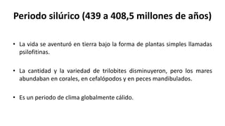 Periodo silúrico (439 a 408,5 millones de años)
• La vida se aventuró en tierra bajo la forma de plantas simples llamadas
psilofitinas.
• La cantidad y la variedad de trilobites disminuyeron, pero los mares
abundaban en corales, en cefalópodos y en peces mandibulados.
• Es un periodo de clima globalmente cálido.
 