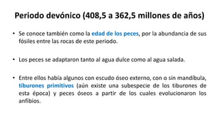 Periodo devónico (408,5 a 362,5 millones de años)
• Se conoce también como la edad de los peces, por la abundancia de sus
fósiles entre las rocas de este periodo.
• Los peces se adaptaron tanto al agua dulce como al agua salada.
• Entre ellos había algunos con escudo óseo externo, con o sin mandíbula,
tiburones primitivos (aún existe una subespecie de los tiburones de
esta época) y peces óseos a partir de los cuales evolucionaron los
anfibios.
 