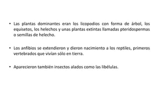 • Las plantas dominantes eran los licopodios con forma de árbol, los
equisetos, los helechos y unas plantas extintas llamadas pteridospermas
o semillas de helecho.
• Los anfibios se extendieron y dieron nacimiento a los reptiles, primeros
vertebrados que vivían sólo en tierra.
• Aparecieron también insectos alados como las libélulas.
 