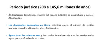 Periodo jurásico (208 a 145,6 millones de años)
• Al desplazarse Gondwana, el norte del océano Atlántico se ensanchaba y nacía el
Atlántico sur.
• Los dinosaurios dominaban en tierra, mientras crecía el número de reptiles
marinos, como los ictiosaurios y los plesiosaurios.
• Aparecieron las primeras aves y los corales formadores de arrecifes crecían en las
aguas poco profundas de las costas.
 