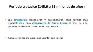 Periodo cretácico (145,6 a 65 millones de años)
• Los dinosaurios prosperaron y evolucionaron hacia formas más
especializadas, para desaparecer de forma brusca al final de este
periodo, junto a muchas otras formas de vida.
• Aparecieron las angiospermas (plantas con flores).
 