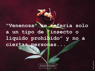 "Venenosa" se refería solo a un tipo de "insecto o liquido prohibido" y no a ciertas personas... 