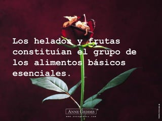 Los helados y frutas constituían el grupo de los alimentos básicos esenciales. 