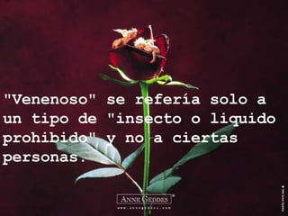 "Venenoso" se refería solo a un tipo de "insecto o liquido prohibido" y no a ciertas personas. 